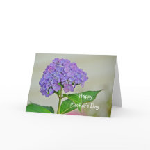 母の日のアジサイ