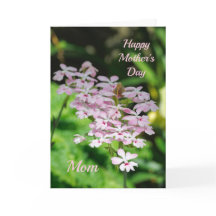 母の日のオーキッド