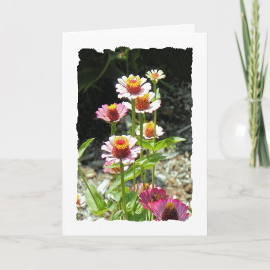 母の日のカードおばさん、花カラフルたち カード (正面)