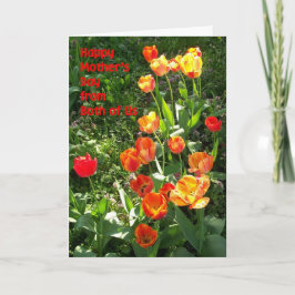母の日のカード'私たち両方から' - 'チューリップ' カード