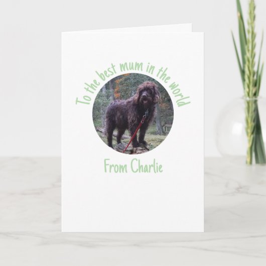 母の日のカード　わんこから シーズンカード (正面)