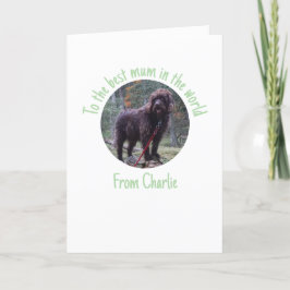 母の日のカード　わんこから シーズンカード