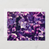 母の日のカード，ギフト，写真薄紫花， シーズンポストカード (正面/裏面)