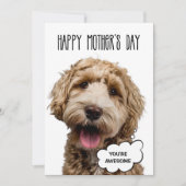母の日のカード、面白い犬 母の日の犬ママ シーズンカード (正面)
