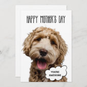 母の日のカード、面白い犬 母の日の犬ママ シーズンカード (正面/裏面)
