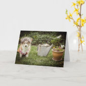 母の日のガーデニングコーギーグリーティングカード カード (黄色い花)