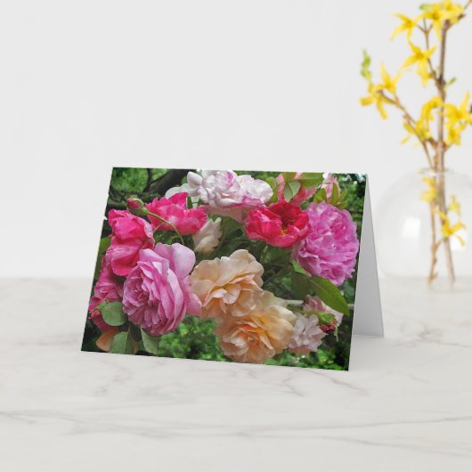 母の日のバラ カード (黄色い花)