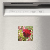 母の日のバラ マグネット (インサイチュ (食洗機))