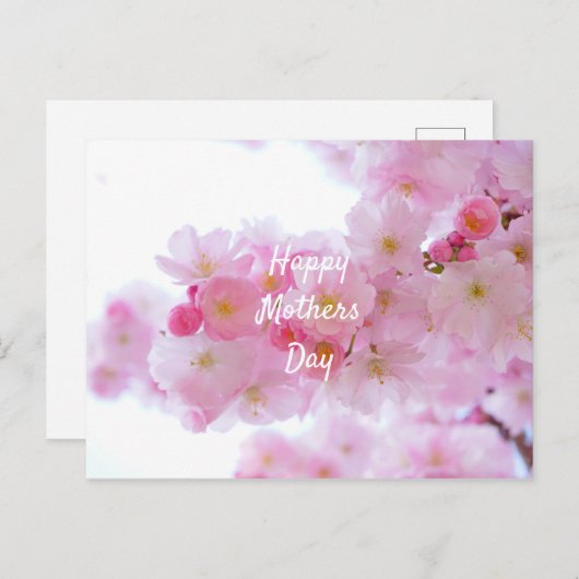 母の日のピンクの桜の木 ポストカード (正面/裏面)