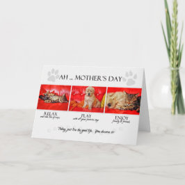 母の日のペットからおもしろいの子猫と子犬 カード