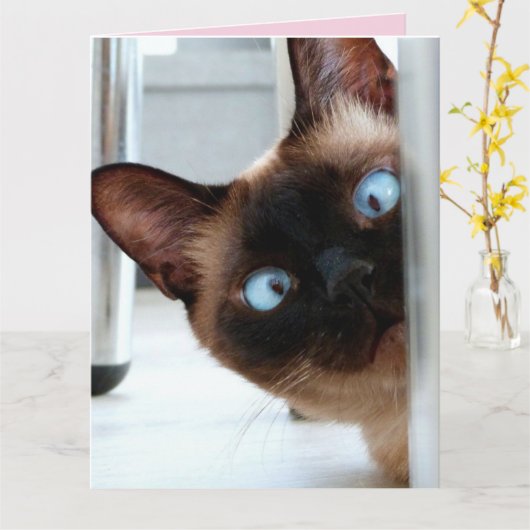 母の日の可愛い顔を覗かせる猫のグリーティングカード カード (黄色い花)