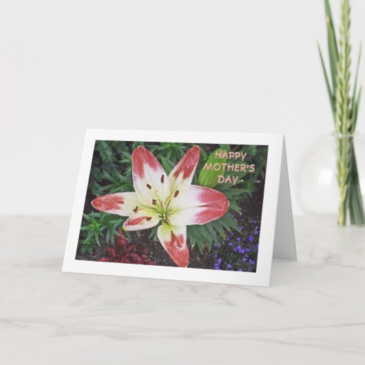 母の日の感謝かわいらし/DAYLILY カード (正面)