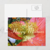 母の日の挨拶 ポストカード (正面/裏面)