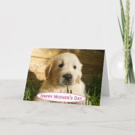 母の日の犬のママ 世界で最高のペット写真 カード