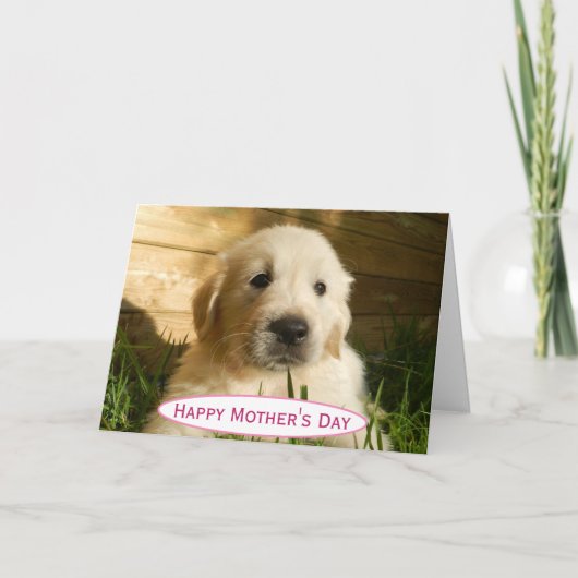 母の日の犬のママ 世界で最高のペット写真 カード (正面)