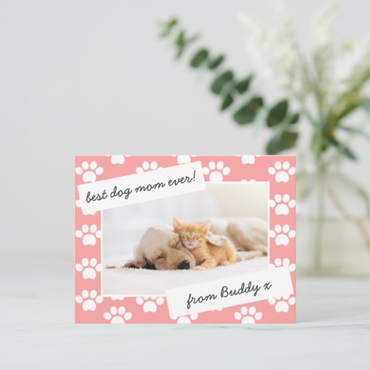 母の日の犬の母の写真 ポストカード (スタンド正面)