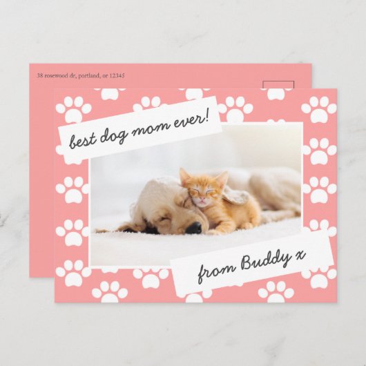 母の日の犬の母の写真 ポストカード (正面/裏面)