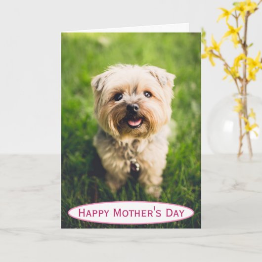 母の日の犬ママ世界の最高のペットの写真 カード (黄色い花)