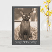 母の日の猫カード | デボン レックス ヴィンテージ写真 カード (黄色い花)