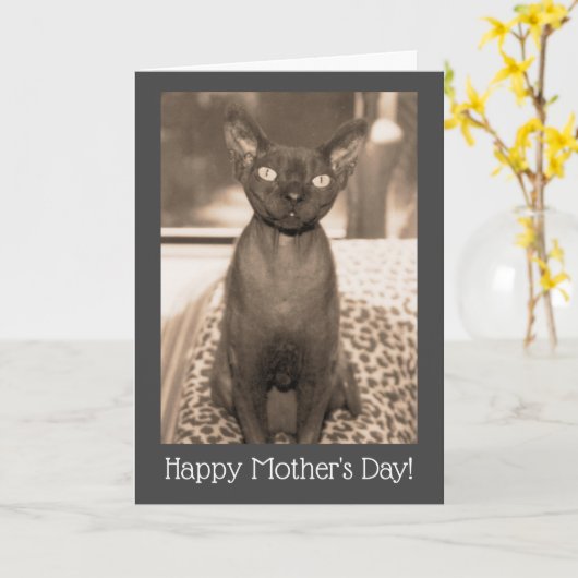 母の日の猫カード | デボン レックス ヴィンテージ写真 カード (黄色い花)