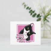 母の日の猫 ポストカード (スタンド正面)