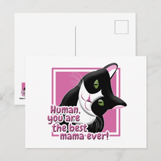 母の日の猫 ポストカード (正面/裏面)