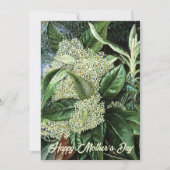 母の日の白い花 シーズンカード (正面)