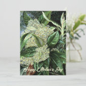 母の日の白い花 シーズンカード (スタンド正面)