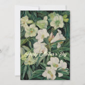 母の日の白い花 シーズンカード (正面)