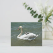 母の日の白鳥の自然かわいい ポストカード (スタンド正面)
