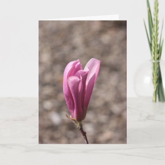 母の日の花 カード (正面)