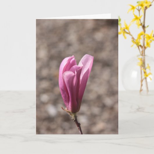 母の日の花 カード (黄色い花)