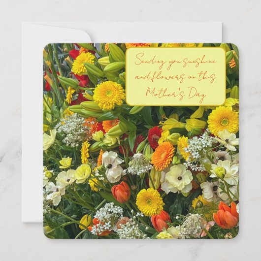 母の日の花 案内状 (正面)