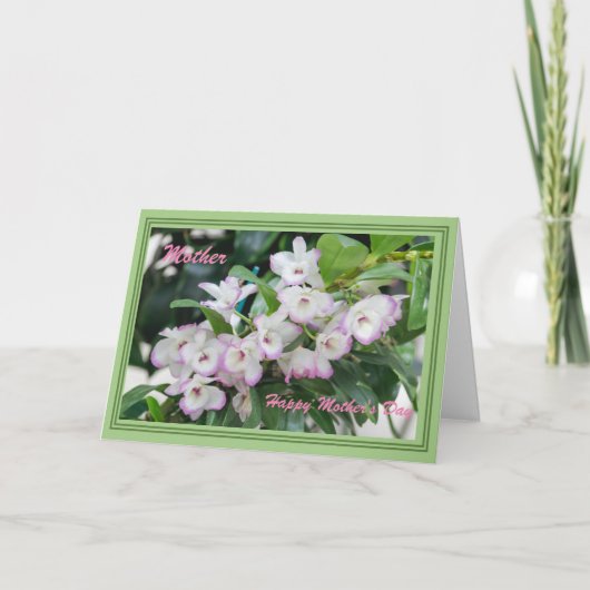 母の日の蘭 カード (正面)