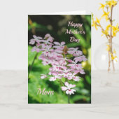 母の日の蘭 カード (黄色い花)