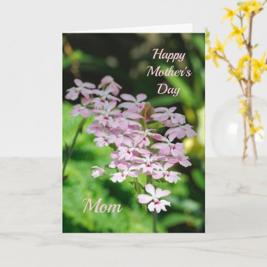 母の日の蘭 カード (黄色い花)