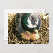 母の日の郵便はがき ポストカード (正面/裏面)