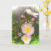 母の日の野生のバラ カード (黄色い花)