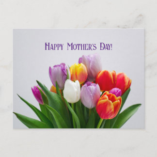 母の日はがき シーズンポストカード