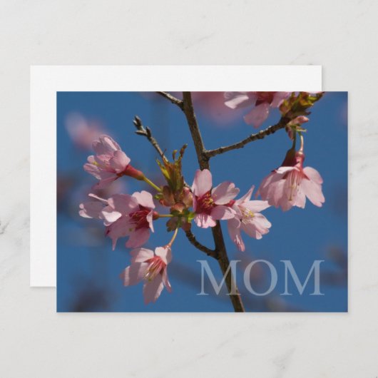 母の日はがき ポストカード (正面/裏面)