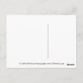 母の日はがき ポストカード (裏面)