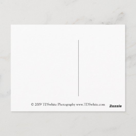 母の日はがき ポストカード (裏面)