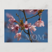 母の日はがき ポストカード (正面)