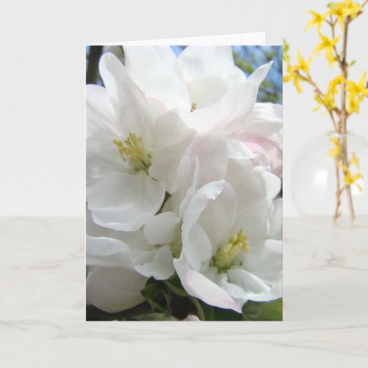 母の日はAPPLEの48の花カードを梳きます カード (黄色い花)