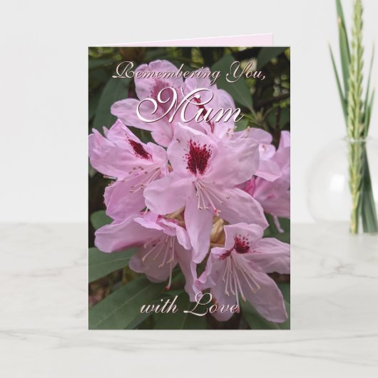 母の日を思い出すピンクのシャクナゲ カード (正面)