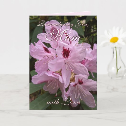 母の日を思い出すピンクのシャクナゲ カード (小さな植物)