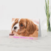 母の日を祝う子犬CKCSカード カード (正面)