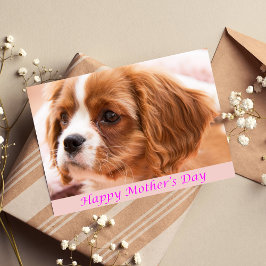 母の日を祝う子犬CKCSカード カード