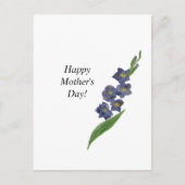 母の日カードフローラ水色リリー紫 ポストカード (正面)