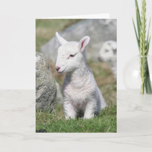 母の日カード カード (正面)